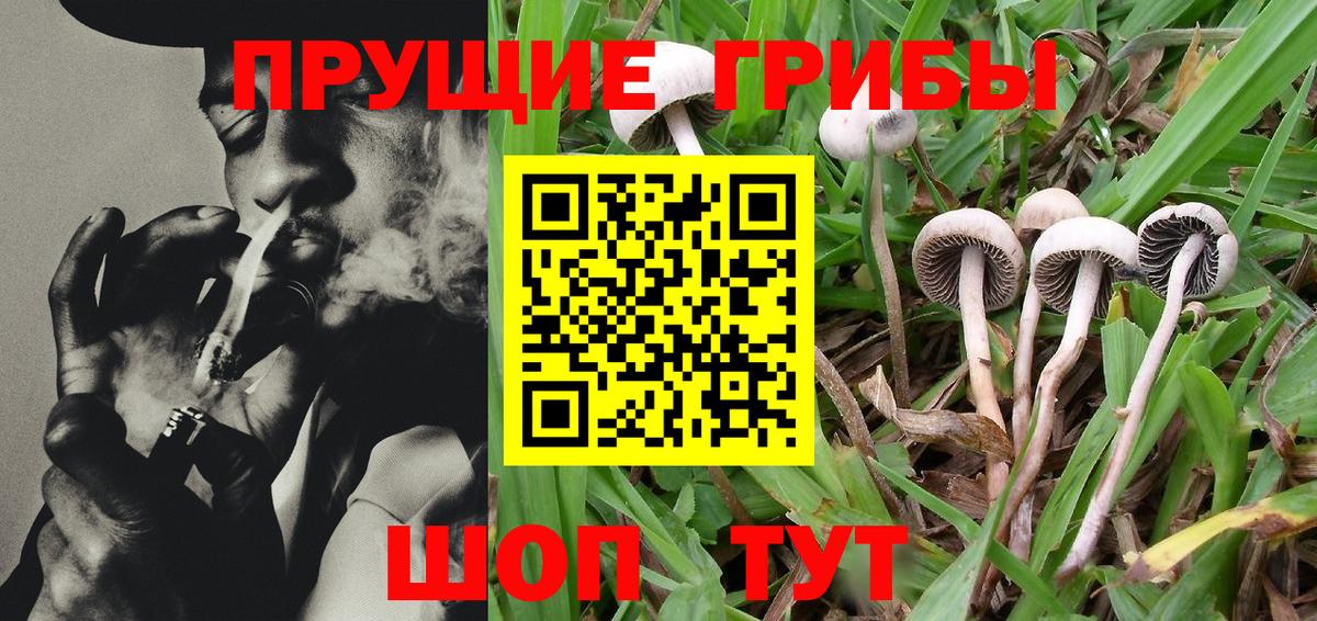 Псилоцибиновые грибы мухоморы Камень-на-Оби